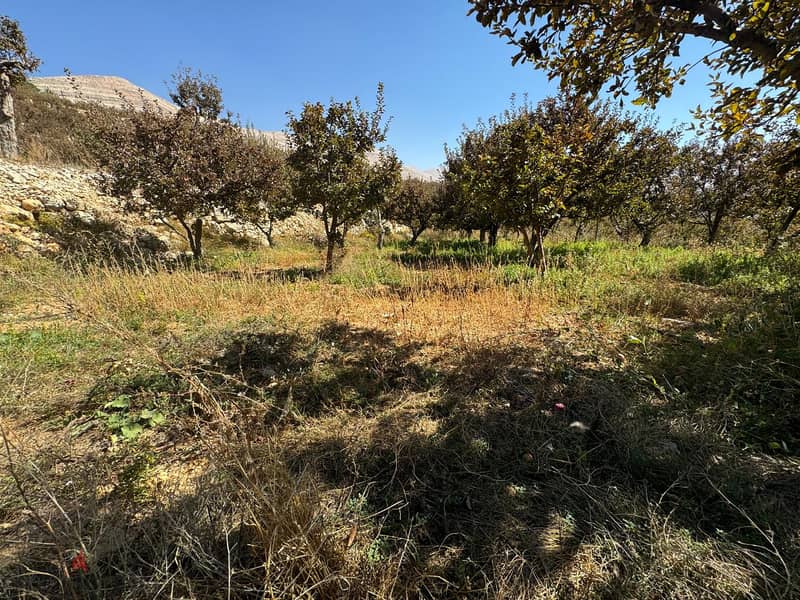 Land for sale in Bcharre أرض للبيع في بشري 3