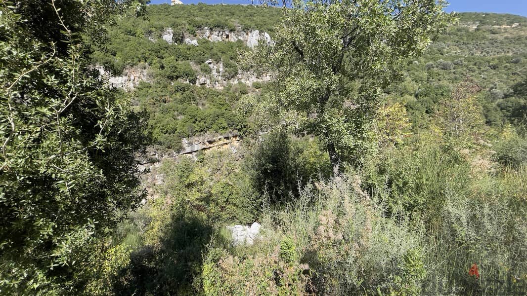 RWB182CA - Land for sale in Hakel Jbeil 4