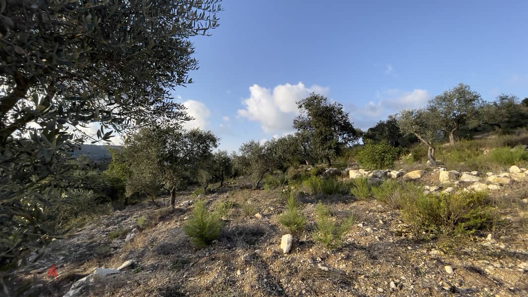 RWB185CA - Land for sale in Ain Kfaa Jbeil 1