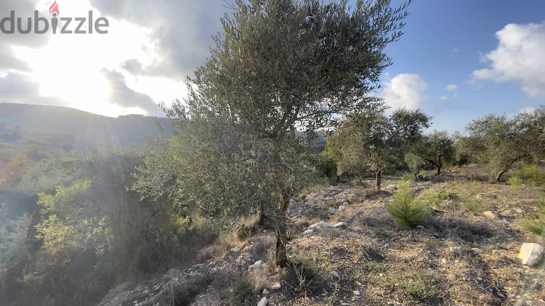 RWB185CA - Land for sale in Ain Kfaa Jbeil 2