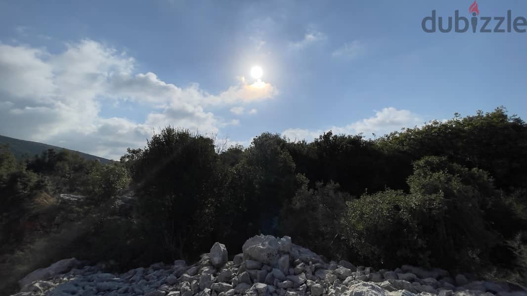 RWB184CA - Private Land for sale in Aabeidat Jbeil 3