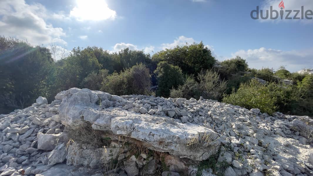 RWB184CA - Private Land for sale in Aabeidat Jbeil 5