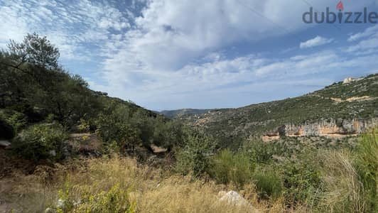 RWB190CA - Private land for sale in Aabeidat Jbeil