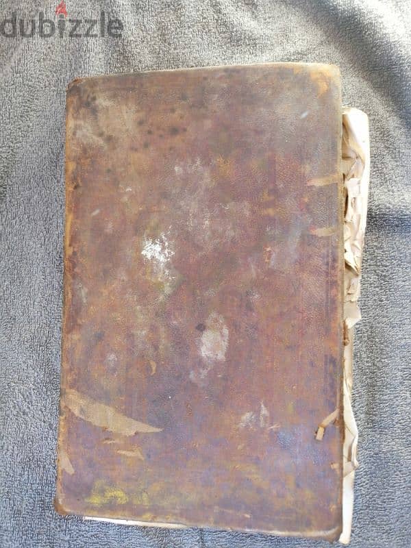 Vincentius Bracco 1878 bible 5