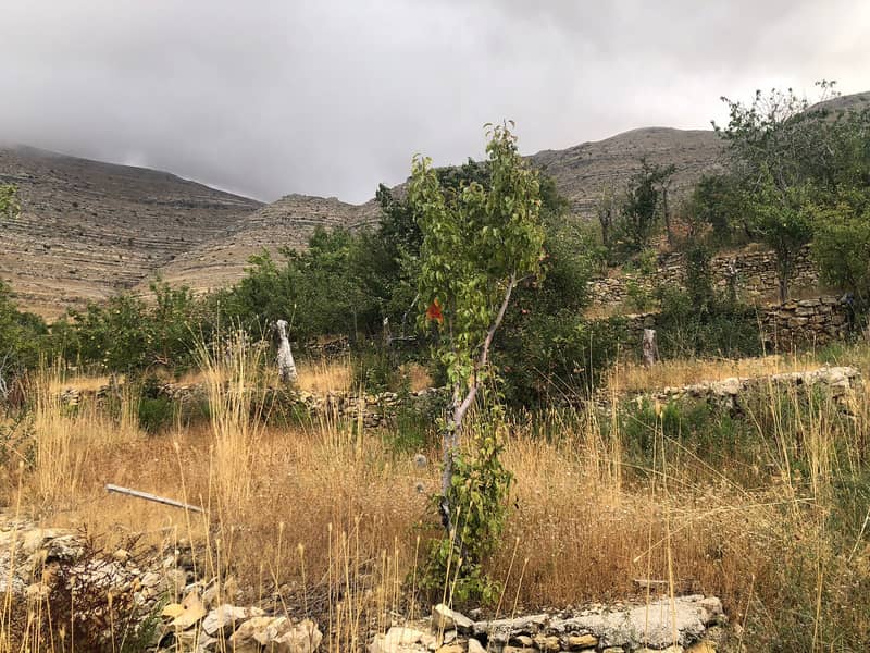 RWK156CS - Land For Sale In Faraya - أرض للبيع في فاريا 3