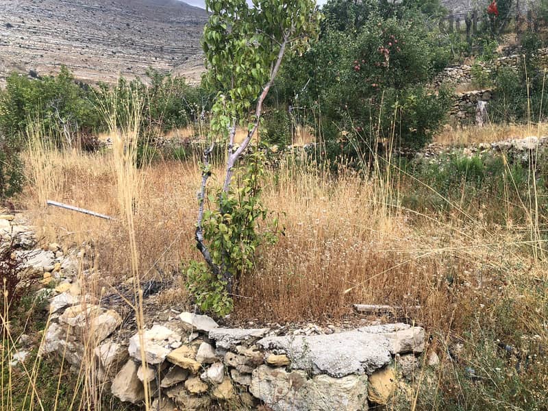 RWK156CS - Land For Sale In Faraya - أرض للبيع في فاريا 7