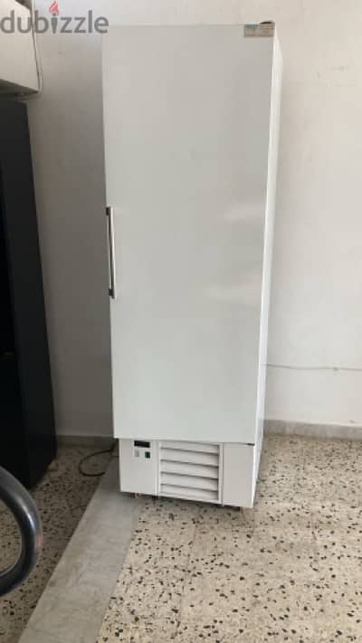 Professional standing  Freezer for business and home