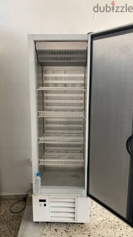 Professional standing  Freezer for business and home 1