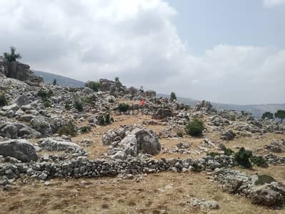 10800 Sqm | Land For Sale In Hasbaya | Mountain View