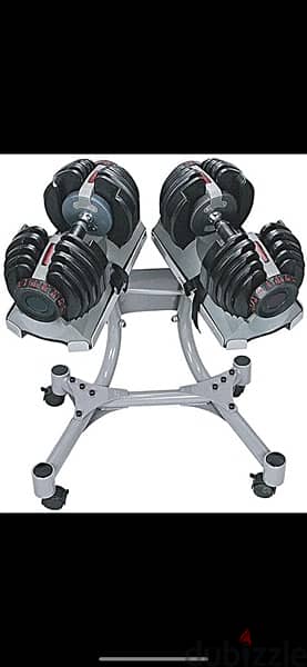 Bowflex dumbells new 24 and 42 kg for 225$. Stand is available 1