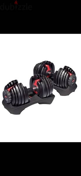 Bowflex dumbells new 24 and 42 kg for 225$. Stand is available 3