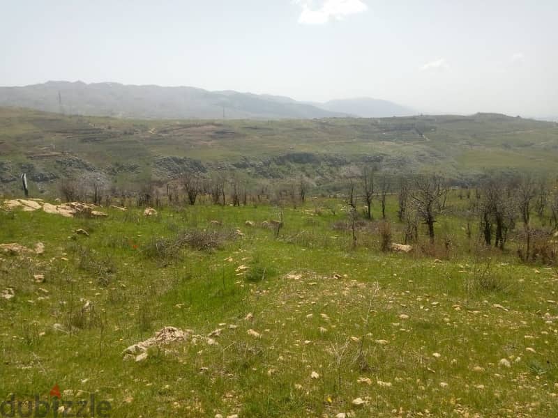 12000 Sqm | Land for sale in Hemmena ضهر البيدر -الأوتوستراد العام 3