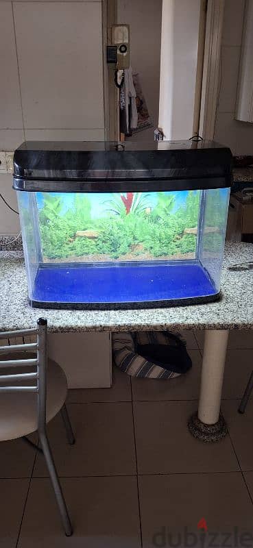 Aquarium used but in Great condition. 60cm x 38cm with electricity