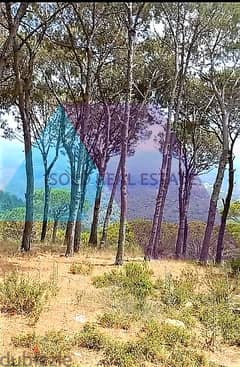 A 710 m2 land having a   Panoramic Mountain view for sale in Broumana 0