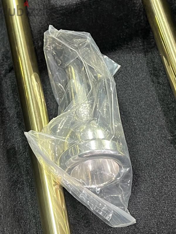 Trombone a coulisse brand new 2