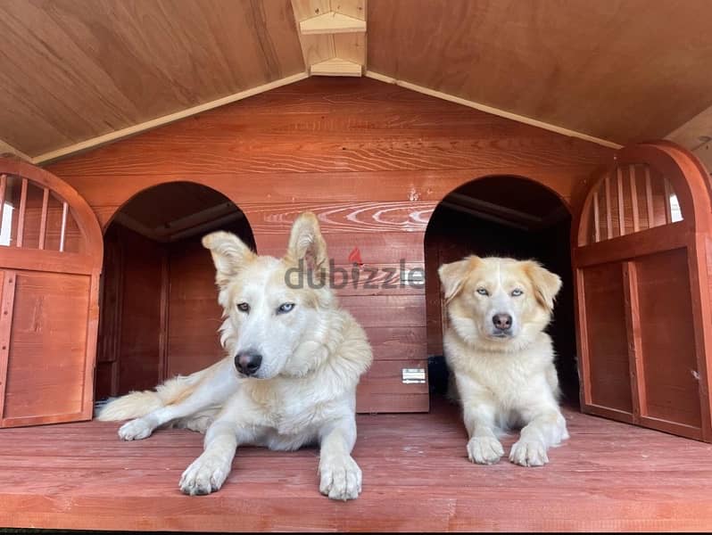 wooden dog houses 16