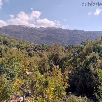 Land for sale in Ghineh   ارض للبيع في غينة