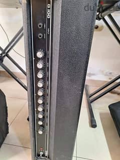 Amp  box Yamaha G 100 0