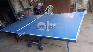 Ping Pong Table 0