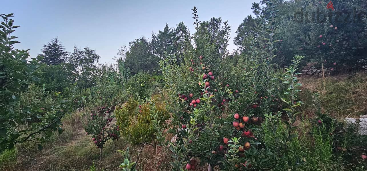 RWK200GZ - Land For Sale In Kfardebian - أرض للبيع في كفرذبيان 3