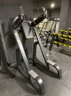 dip leg raise bench for sale 0