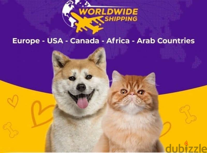 Imported European Dogs & Cats 1