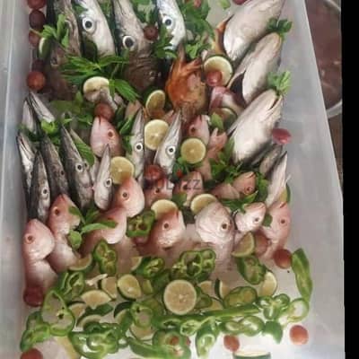 Sea food chef looking for a job