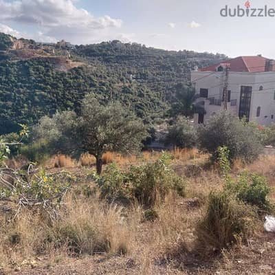 land for sale in ghalboun. ارض للبيع في غلبون ٧٥$/م