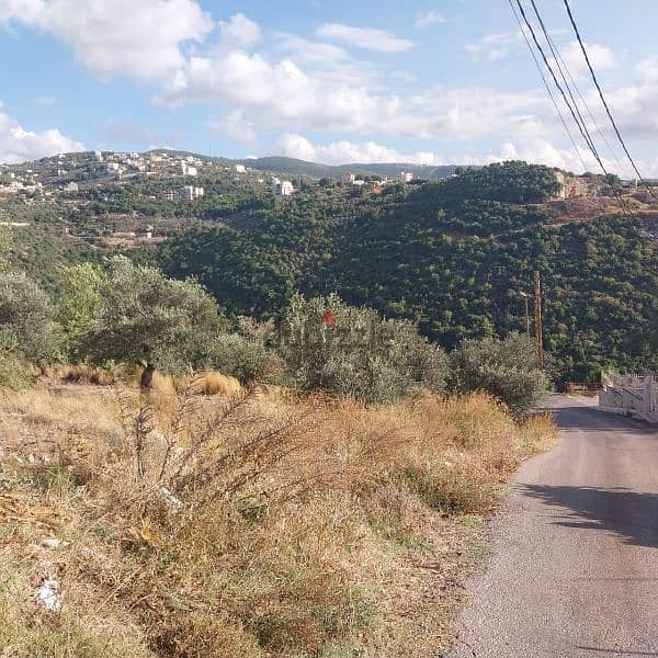 land for sale in ghalboun. ارض للبيع في غلبون ٧٥$/م 1