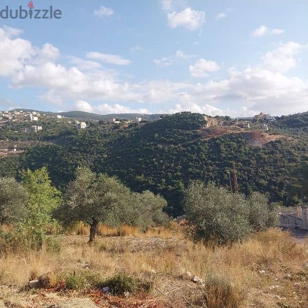 land for sale in ghalboun. ارض للبيع في غلبون ٧٥$/م 3