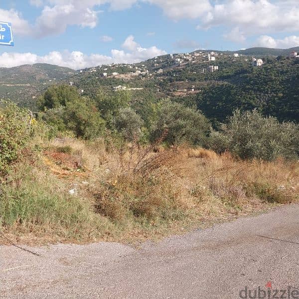 land for sale in ghalboun. ارض للبيع في غلبون ٧٥$/م 4