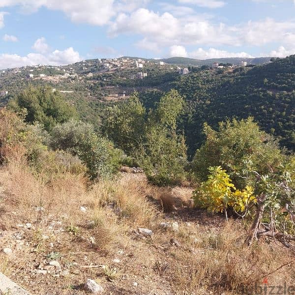 land for sale in ghalboun. ارض للبيع في غلبون ٧٥$/م 5