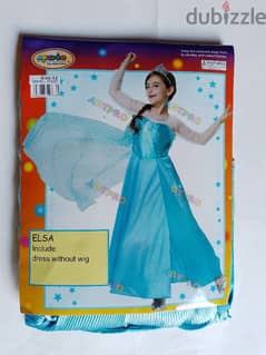 Elsa frozen costume 0