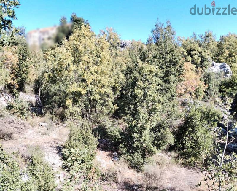 CALMEST AREA / 1100 SQM LAND IN FAITROUN -فيطرون FOR SALE ! REF#SE0135 1