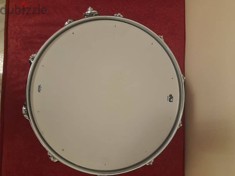 DW collector snare 3