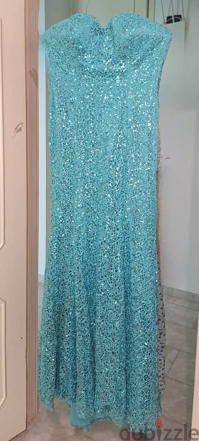 Long Dress size 40