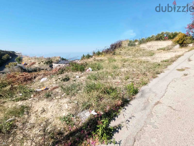 Land For Sale In Hboub | Calm Area | أرض للبيع | PLS 26162 3