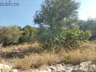 1362 SQM Land in Wadi Chahrour, Baabda Overlooking the Mountains