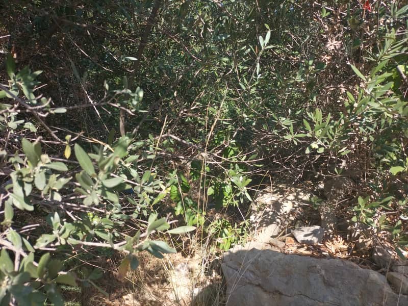 1362 SQM Land in Wadi Chahrour, Baabda Overlooking the Mountains 1