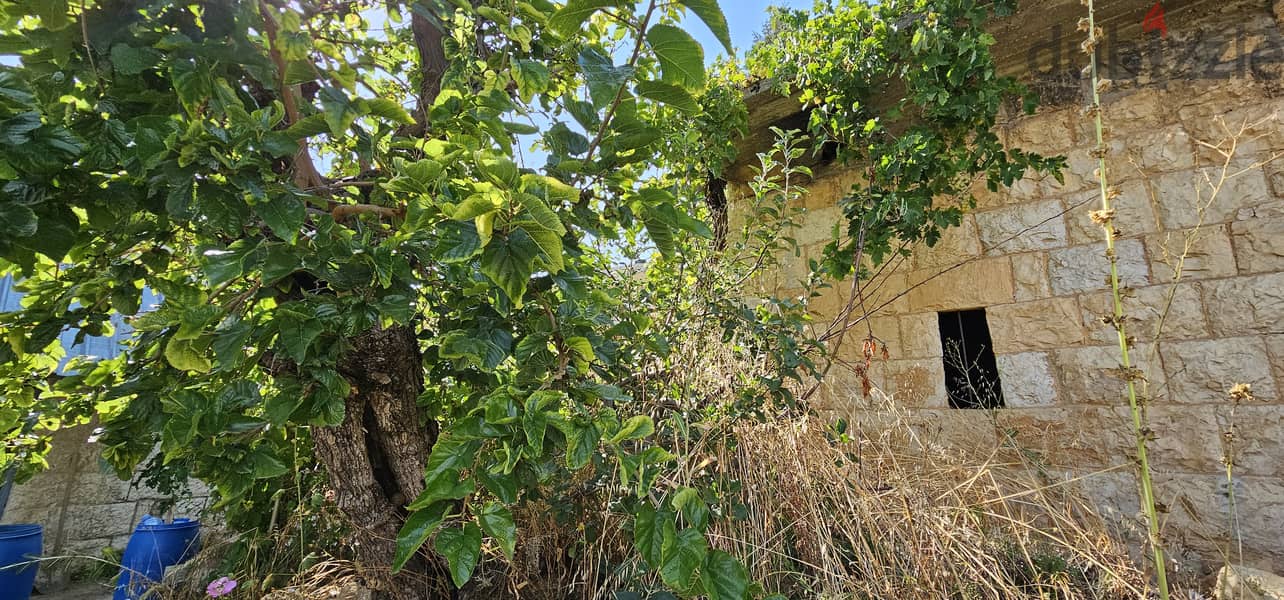 RWK187GZ - Land With Old House  For Sale In Kfardebian 8