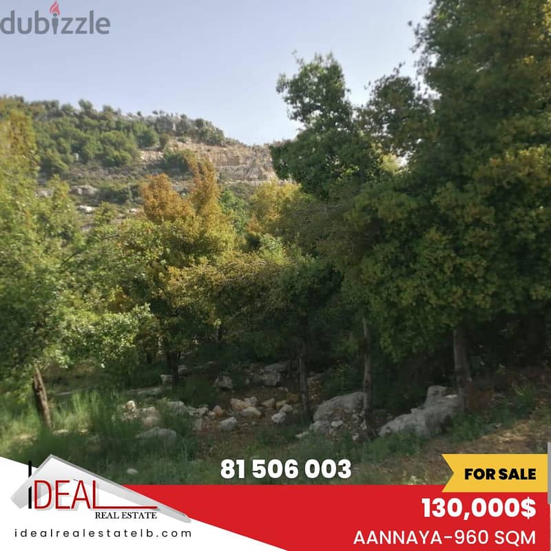 Land for sale in Jbeil Aanaya 960 SQM REF#CD10042 0