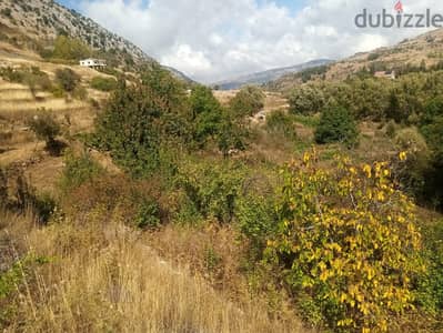 RWB123PK - Land for sale in Laklouk Jbeil