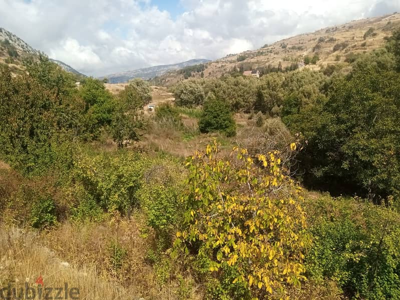 RWB123PK - Land for sale in Laklouk Jbeil 1