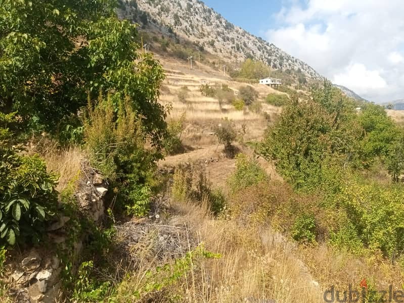 RWB123PK - Land for sale in Laklouk Jbeil 2