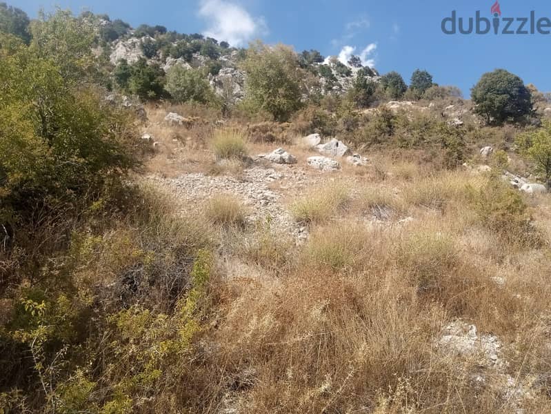 RWB123PK - Land for sale in Laklouk Jbeil 3