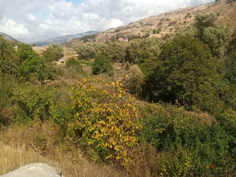 RWB123PK - Land for sale in Laklouk Jbeil 4