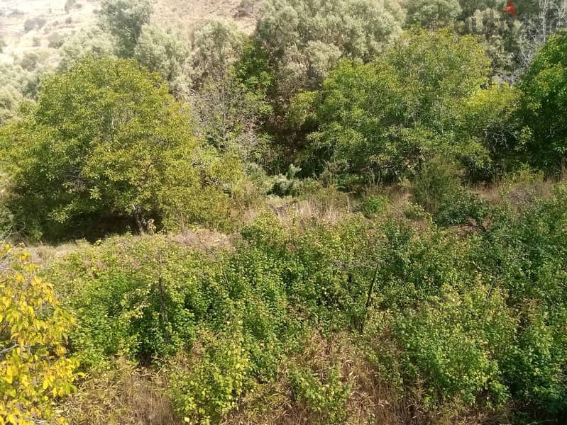 RWB124PK - Land for sale in Jbeil Laklouk 5