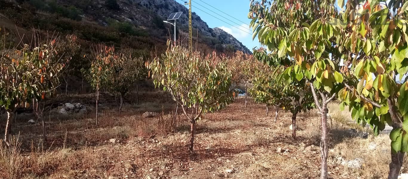 RWB125PK - Land for sale in Laklouk Jbeil 1