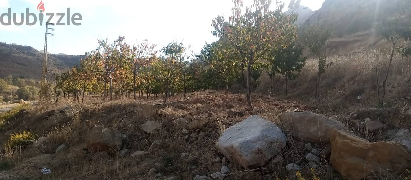 RWB125PK - Land for sale in Laklouk Jbeil 4