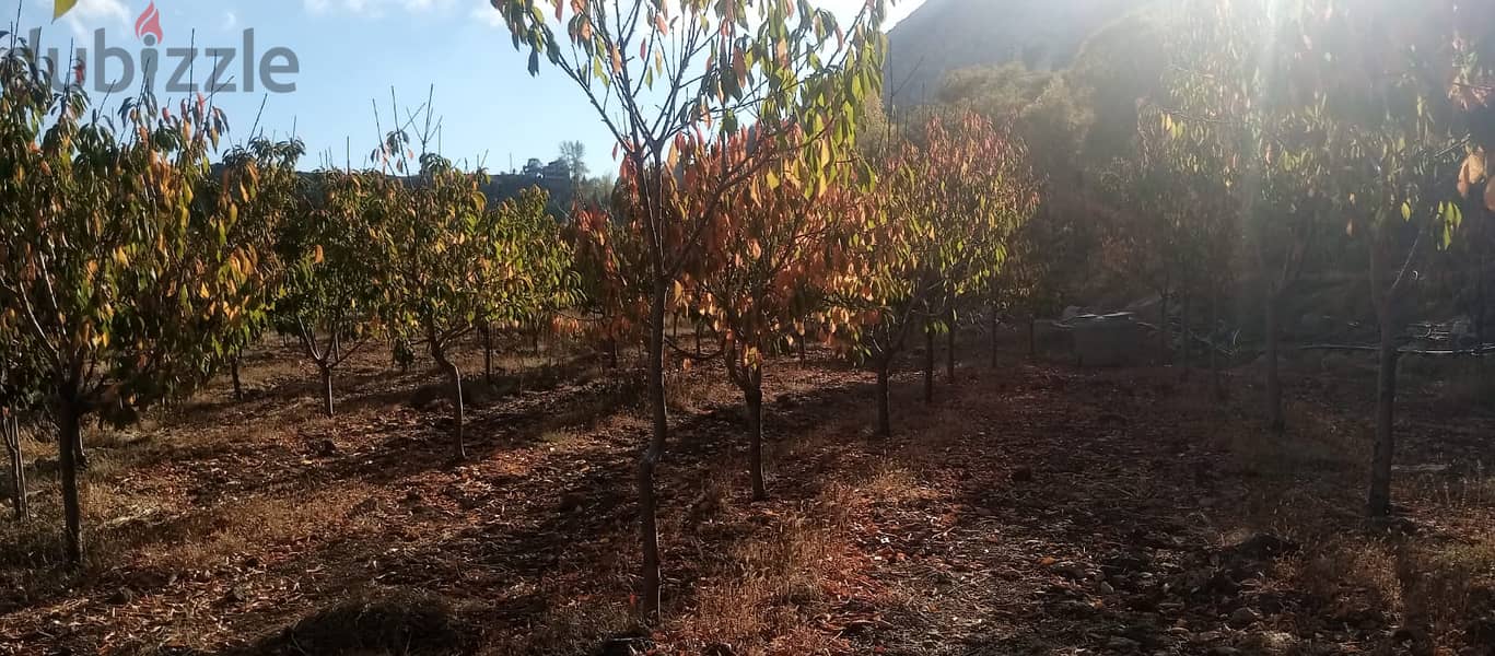 RWB125PK - Land for sale in Laklouk Jbeil 5